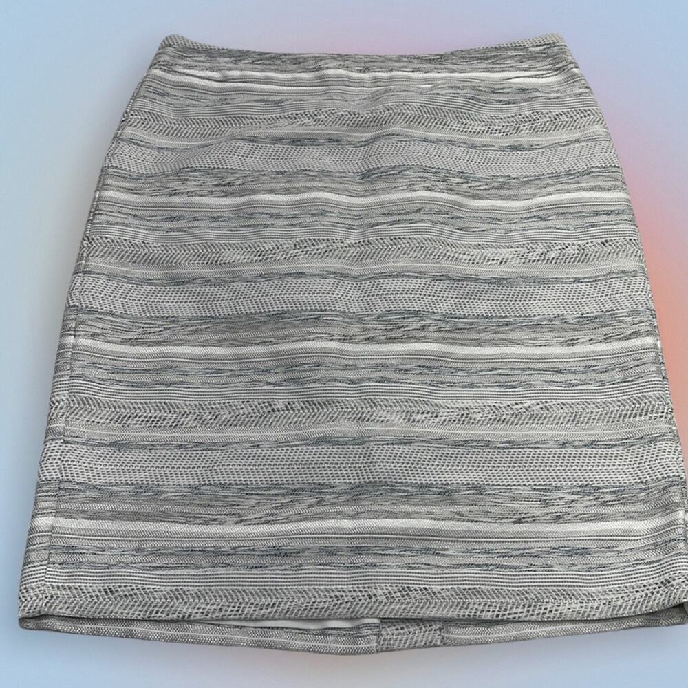 ANN TAYLOR Women’s 10 Silver / Blue Skirt